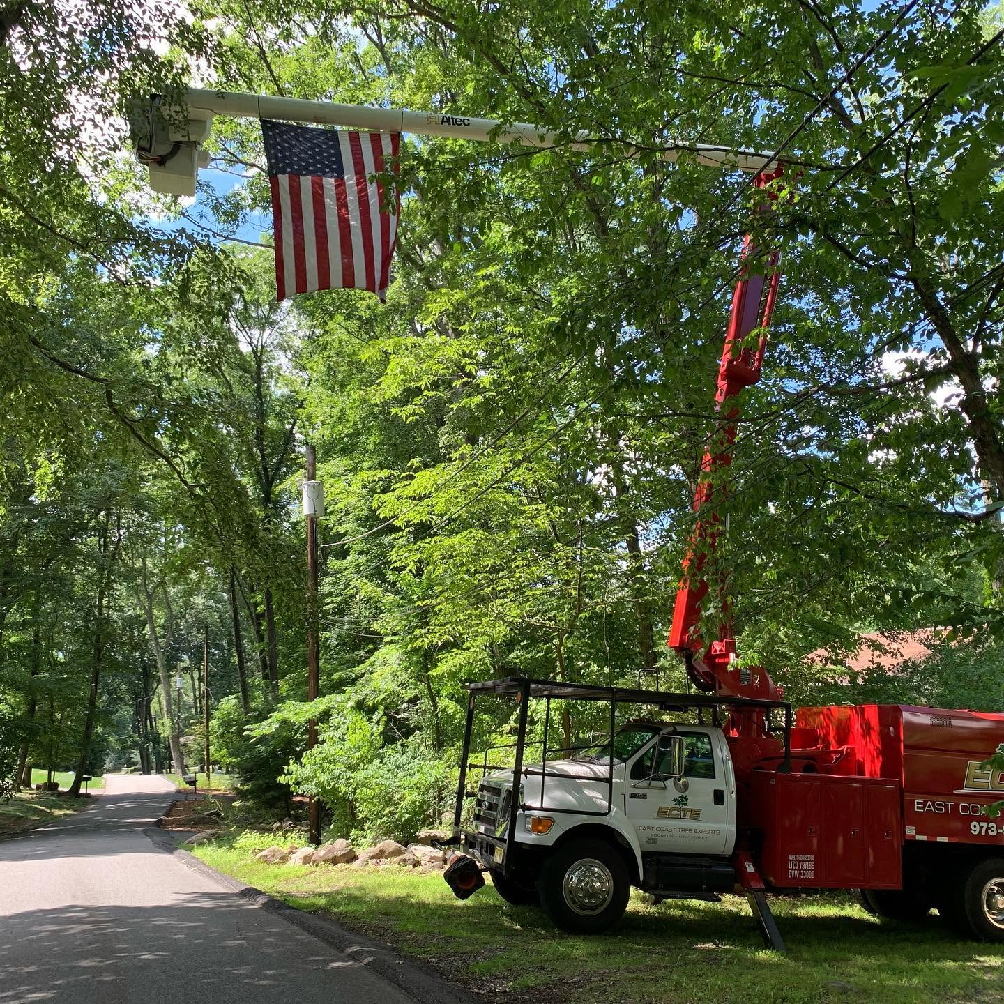 East Coast Tree Experts crew performing a tree removal