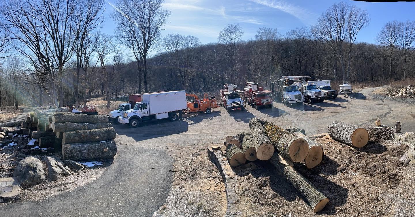 East Coast Tree Experts equipment on a job site